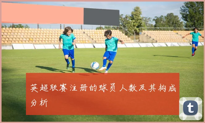 英超联赛注册的球员人数及其构成分析