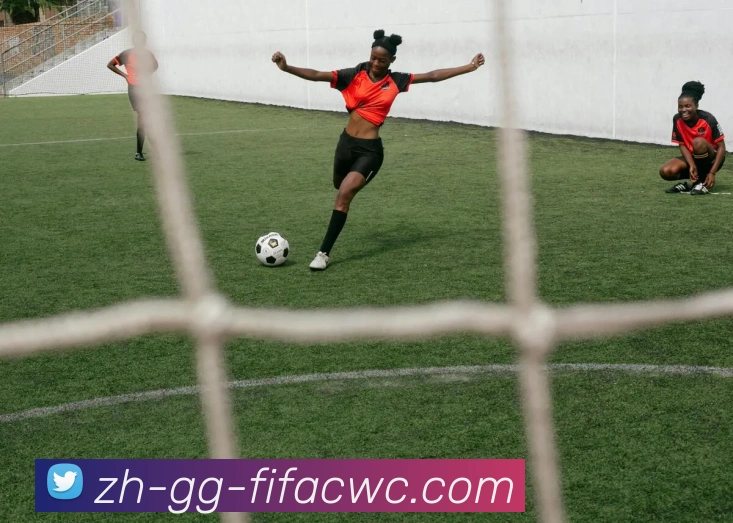 世界杯在线观看服务体系